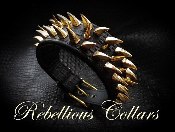 gold spiked collar