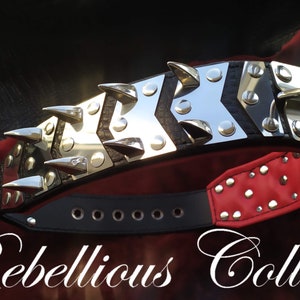 leather dog collar &quot;Armor&quot;  - with stainless steel and  spikes