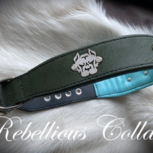 Personalized Leather dog collar