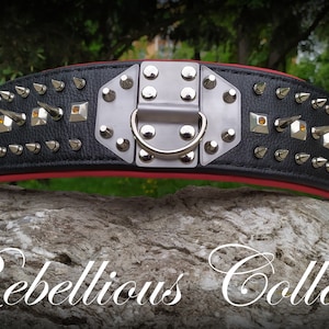 Leather dog collar &quot;Guardian&quot;  with spikes