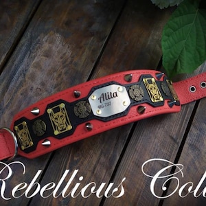 special breed dog collar