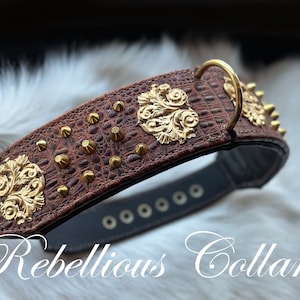 Baroque Leather dog collar with spikes 50-60cm(19.7-23.6 inches )