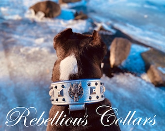leather dog collar Witcher  - with black spikes