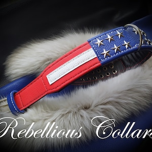 2 Inch Wide American Flag Dog Collar