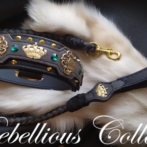 Leather Dog collar “Kings defender”