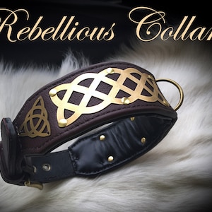 Celtic Collar - leather dog collar with brass