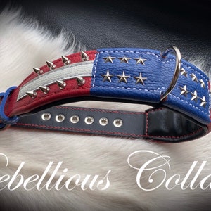 2 Inch Wide American Flag Dog Collar with spikes