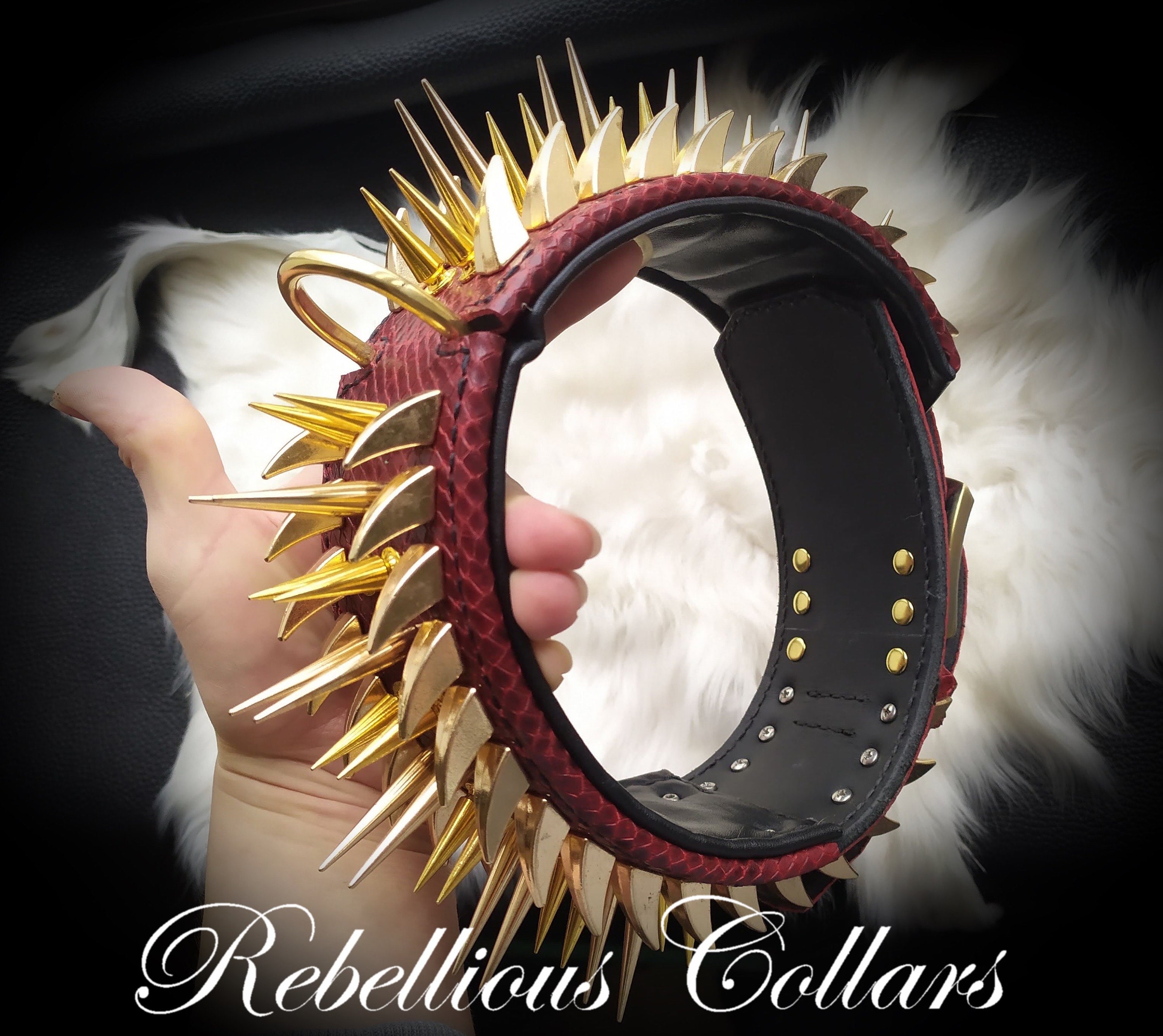 leather dog collar with spikes Berserk