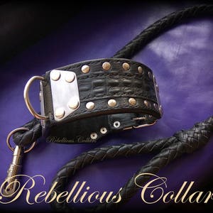 Leather dog collar with stainless steell, with croc print