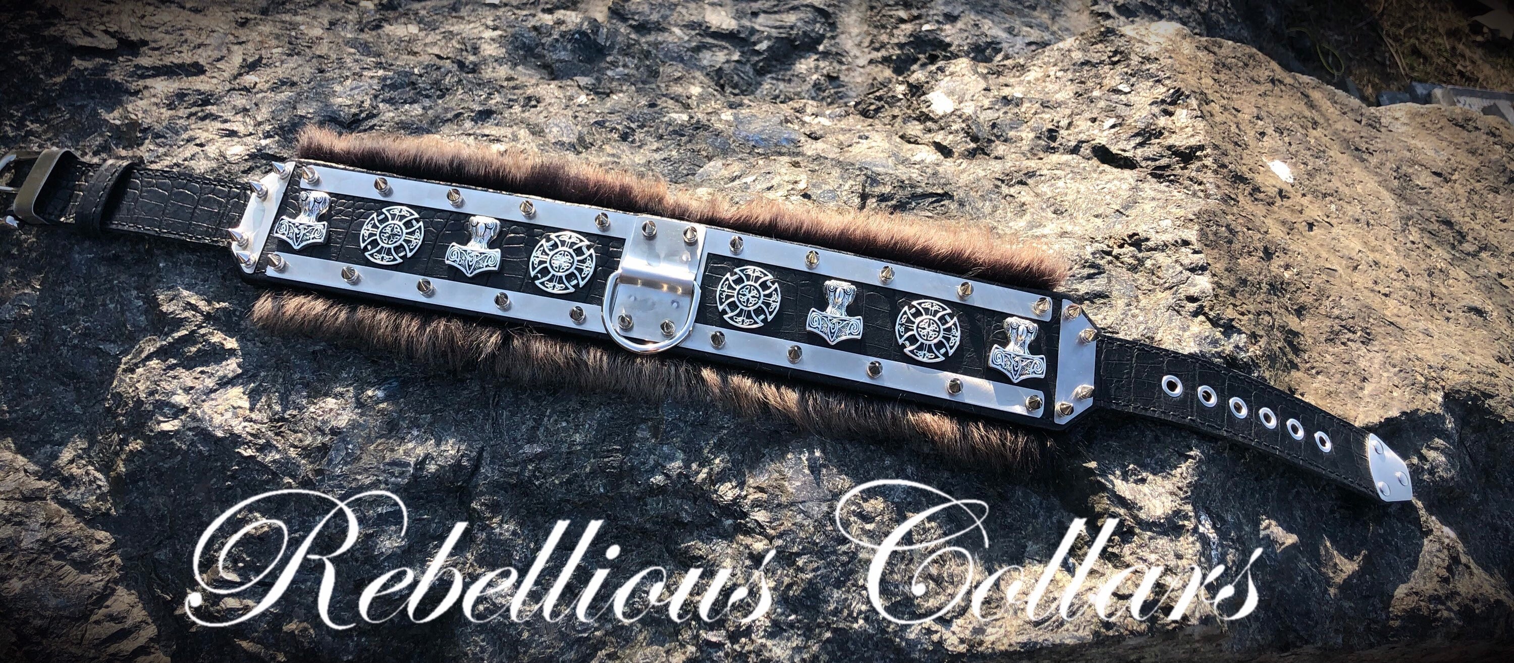 Leather Dog Collar With Fur viking Thor With Spikes Etsy