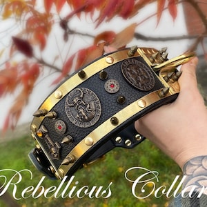Dog collar Viking with spikes