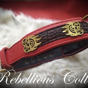 Dog collar with celtic paw