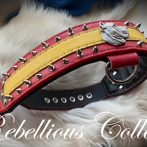 Presa Canario, Dogo canario collar, collar with spikes