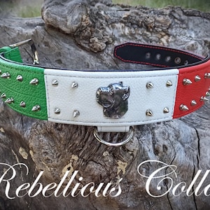 Italian flag collar, cane corso collar with spikes
