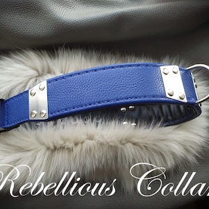 Leather dog collar with stainless steell