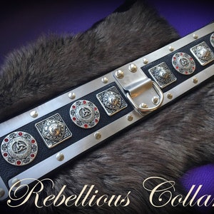 Knight dog collar