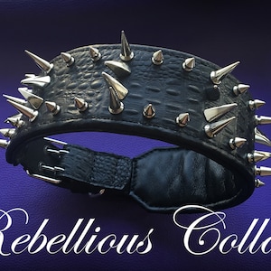 leather dog collar &quot;Monster&quot;