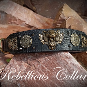 Leather dog collar "Tiger"