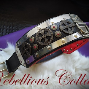 Leather dog collar Knight &quot;Lancelot&quot;