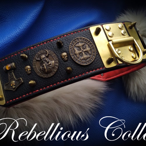 Leather Dog Collar thor Etsy