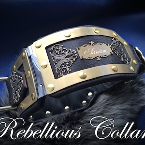 Exclusive leather dog collar like antique collar