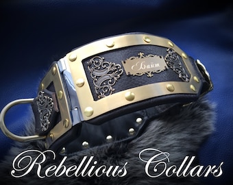 Exclusive leather dog collar like antique collar