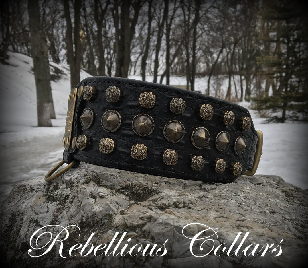 Personalized Dog Collar Cerberus Etsy