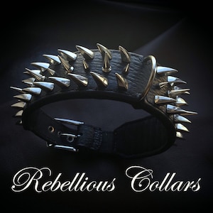 Spiked Leather dog collar