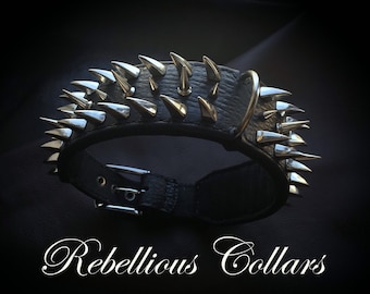 Spiked Leather dog collar