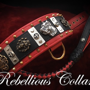 Dog collar “ Your majesty “