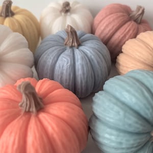 Miniature Pumpkin Shea Butter Soap Set - Rustic Housewarming Gift - 10 Handcrafted Fall Decorative Soap Favors
