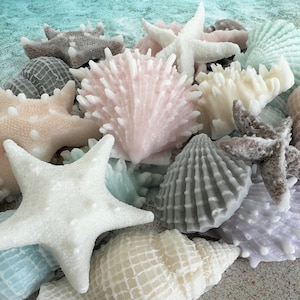 Coastal Seashell Soap Set: Beach-Themed Party Favors & Nautical Bathroom Decor (Set of 15 Pieces)