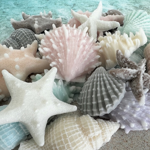 Beach Themed Soap Favors, Decorative Soaps for Parties, Seashell Soap, Set of 10,