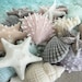 see more listings in the Oceanic Treasures section