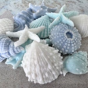 May include: An assortment of decorative seashells and starfish in shades of white, light blue, and blue. The collection includes various shapes and sizes, creating a coastal theme. The objects are arranged on a sandy surface.