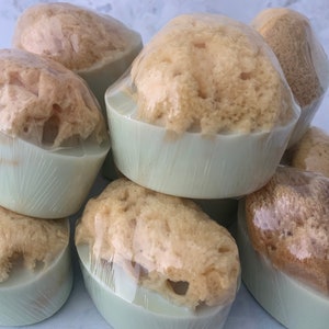 Soap With Grass Sea Sponge, Shea Butter Soap, Gift for Coworkers or Travel Accessory image 9