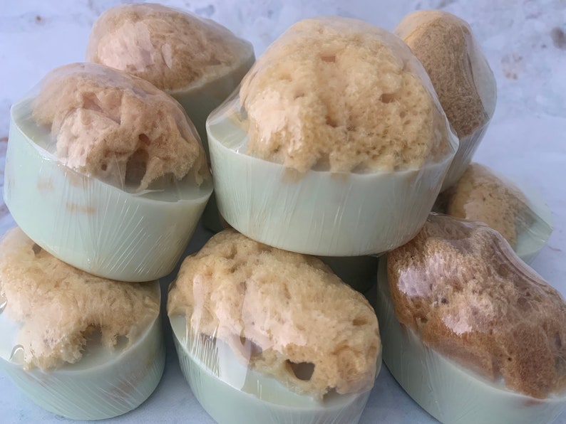 Soap With Grass Sea Sponge, Shea Butter Soap, Gift for Coworkers or Travel Accessory image 9