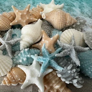 May include: A collection of seashells and starfish in various shades of blue, white, and beige. The shells are arranged in a pile, with some of the starfish on top. The shells are smooth and have a natural, organic look.