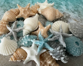 Mini Seashells, Shea Butter Soap, Decorative Soap, Beach House Decor, Set of 10,