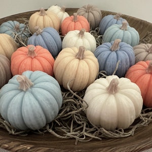 May include: A wooden bowl filled with decorative pumpkins in various colors, including orange, blue, white, and tan. Each pumpkin has a textured surface and a small stem. The pumpkins are arranged on a bed of dried moss.