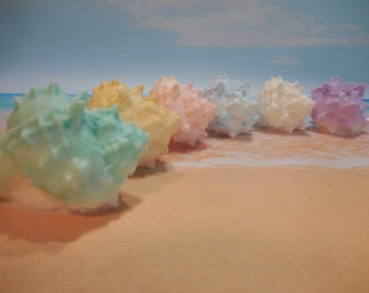 Conch Sea Shell Glycerin Soap - Seashell Coastal Beach Gift