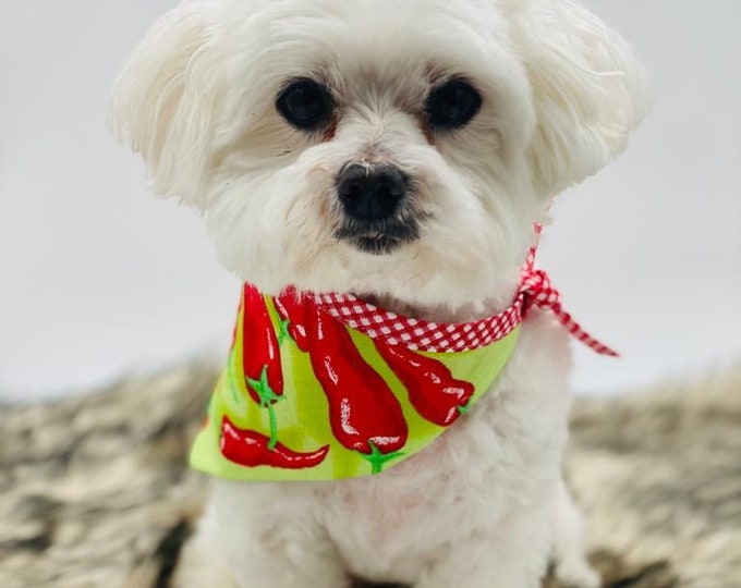 Dog Bandana / Chilli Pepper Dog Costume / Dog Halloween Costume / Dog