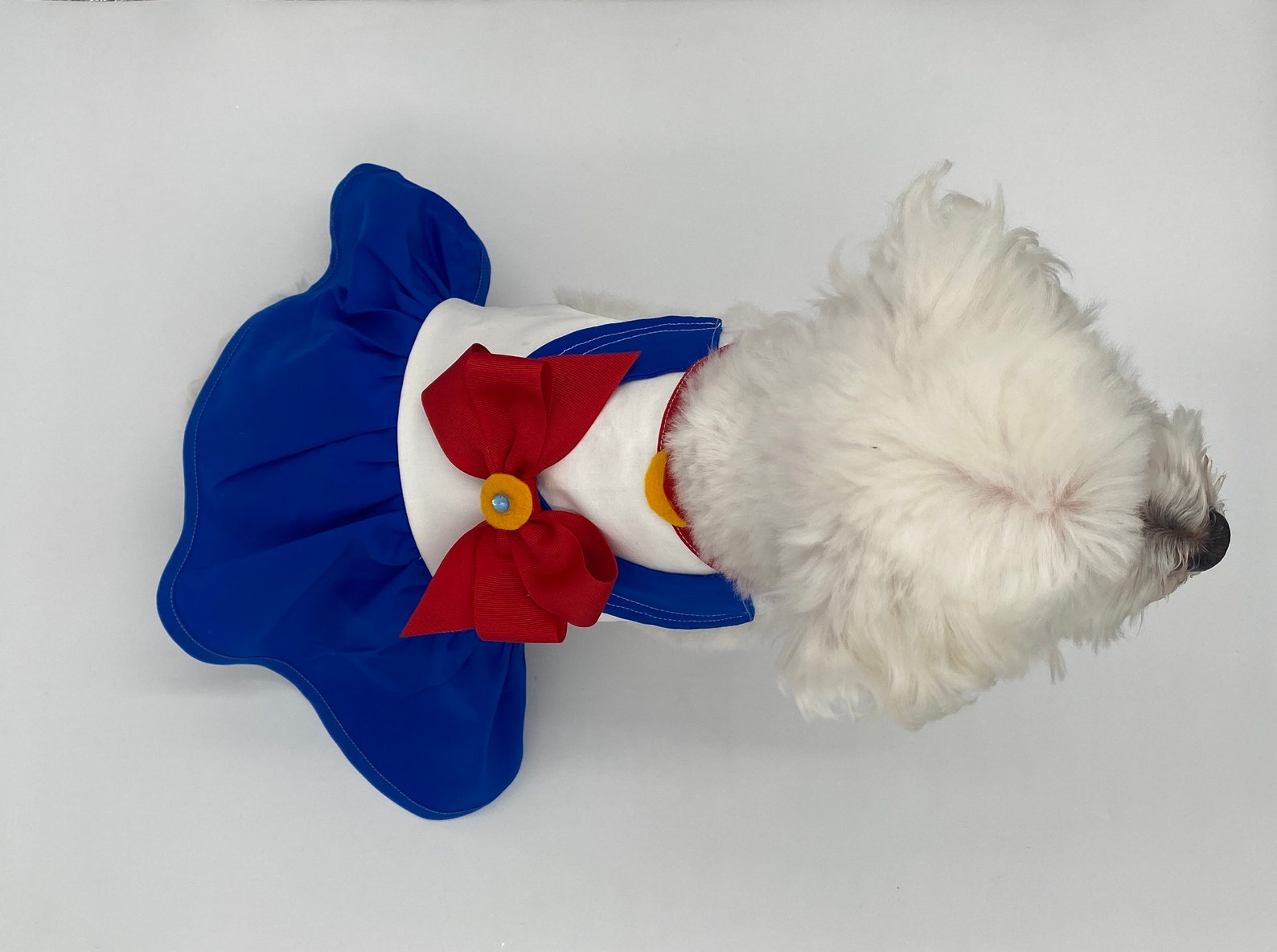 Halloween Dog Costume / Halloween Sailor Moon Dog Costume/ Dog Etsy