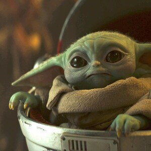 May include: A close-up of a green alien-like creature with large black eyes and pointed ears, wrapped in a tan blanket. The creature is in a silver and red carrier, with a serious expression. The image is from the Star Wars franchise.