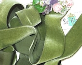 1y MELTY SILK MOSS 1.5 quot Green Leaf Swiss Vintage Velvet Ribbon Garden Taffeta Back Ribbonwork Millinery Hat Antique French Rayon Doll Dress