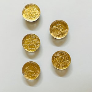 Gold magnet set (5 in set)