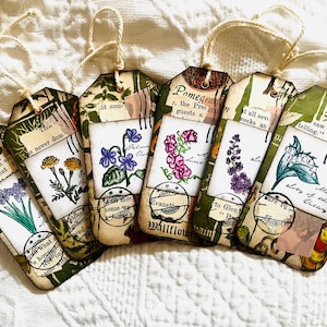 Tags — Garden flower
