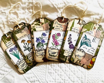 Tags — Garden flower
