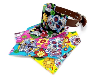 May include: A brown leather dog collar with a silver buckle and a white flower accent. The collar is paired with colorful bandanas featuring sugar skull designs in black, pink, yellow, and blue, with floral patterns.