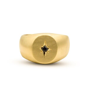 Black Diamond Signet Ring, Ring for Men, Solid Gold Ring, Oval Gold Ring, 18K Signet Ring, Star Signet Ring, 14K Ring, Fine Jewelry, Modern